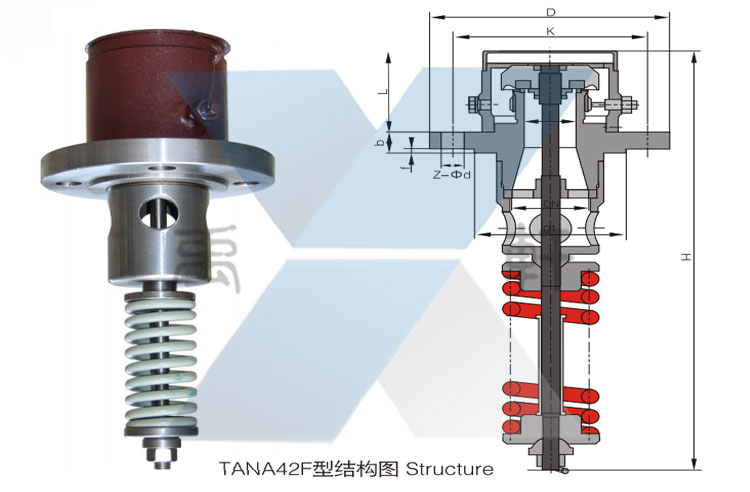 TANA42F-25型内装式安全阀(图1)